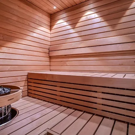 In Lapland - Sointuilevi Premium2 B65 *